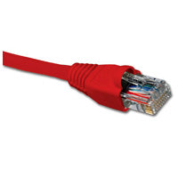 Patch Cord Cat6 de 7 pies